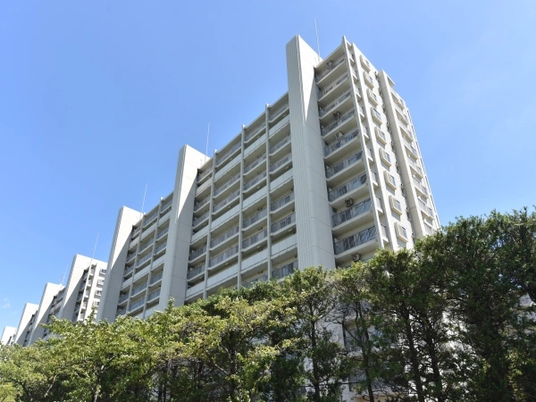 志木ニュータウン中央の森弐番街