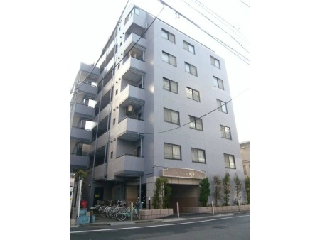 セザール大森