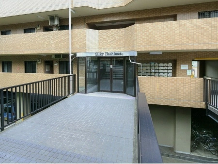 シルキー橋本