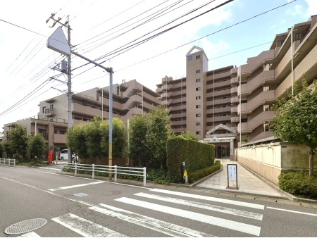 ベルドゥムール南柏