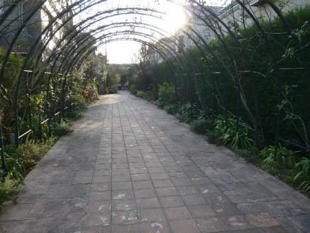 パークコート学芸大学 敷地内