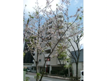 井の頭第二パークサイドマンション