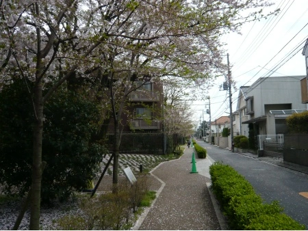 パークハウス吉祥寺北町