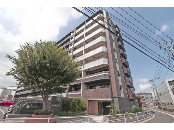 サンクレイドル桜街道II