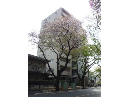 ザ・ヒルズ武蔵境