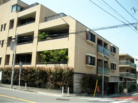 アデニウム洗足池南