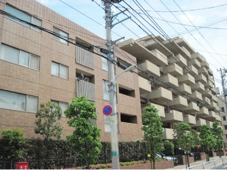 アデニウム武蔵小山