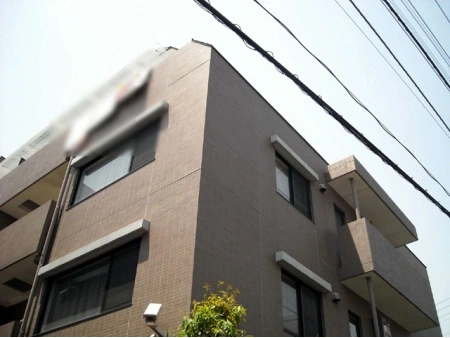 アデニウム文京本駒込