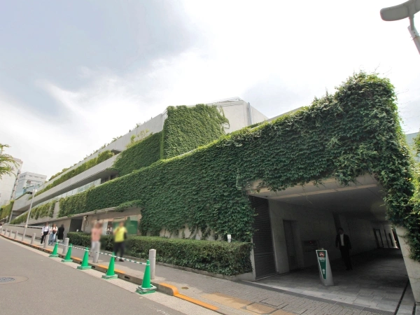 表参道ヒルズゼルコバテラス・イースト