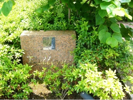 ヴェルビュ大森山王