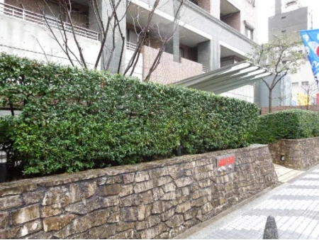 アルス心斎橋