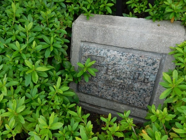 ファミール池田石橋