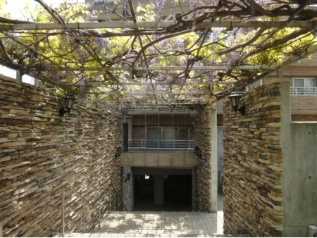 ランドシティ横浜山手伍番館