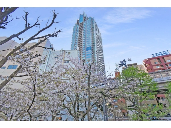 THE ROPPONGI TOKYO