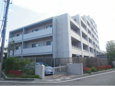 アデニウム京王堀之内
