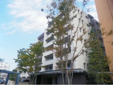 アデニウム京王堀之内