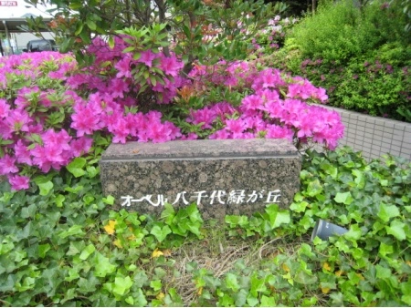 オーベル八千代緑が丘
