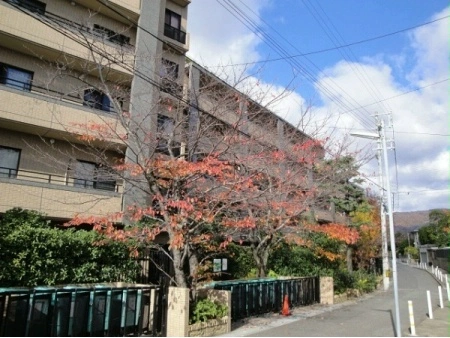 コスモ芦屋川シーサイドテラス