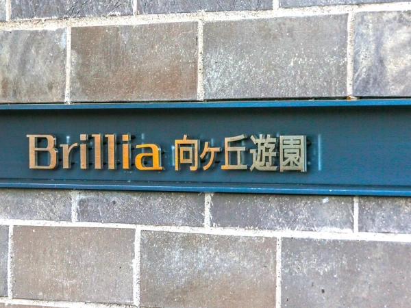 ブリリア向ヶ丘遊園