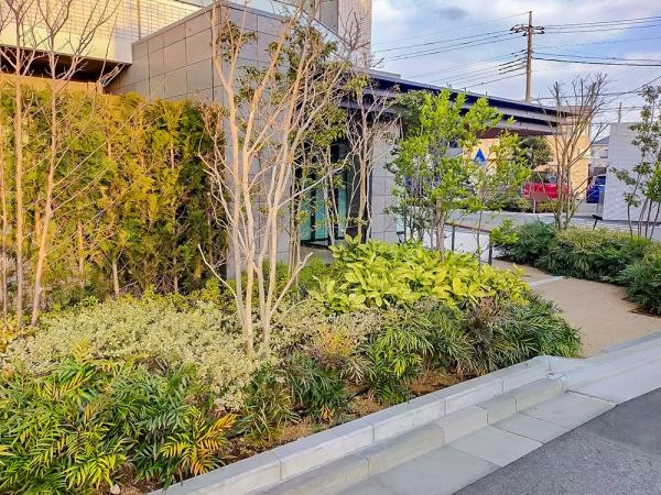 プレシス朝霞台ソルティエ 