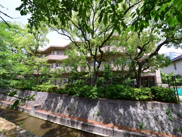 メゾン苦楽園桜町