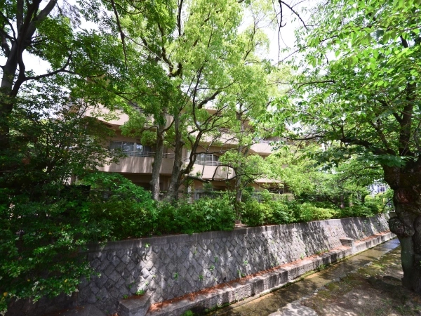 メゾン苦楽園桜町
