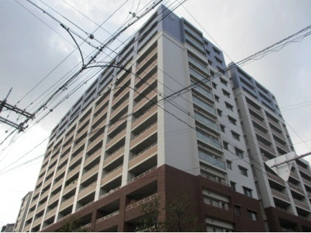 ルネフレシール