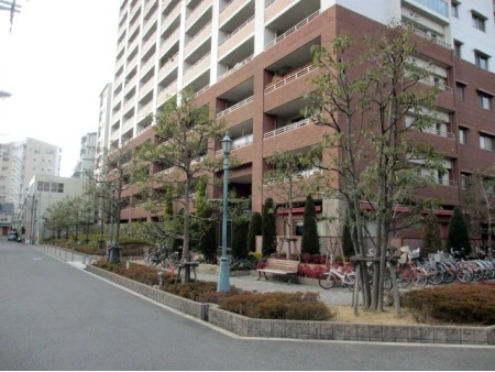 ルネフレシール