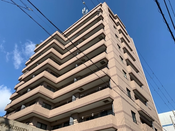 ネオ甲子園