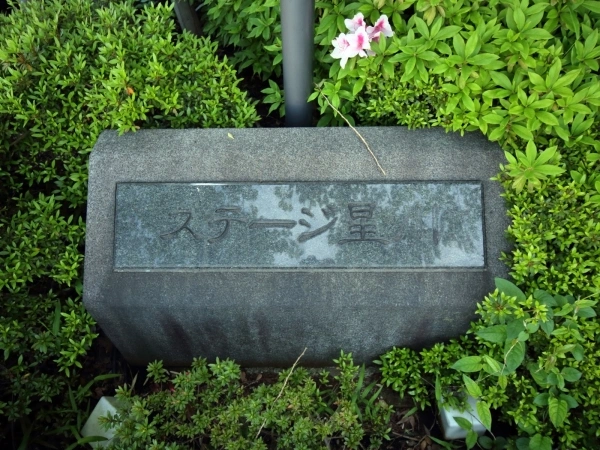 ステージ星川