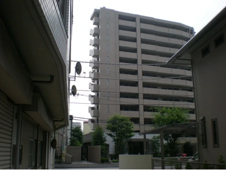 コスモハイセレサ川口本町