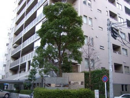東急ドエル・アルス浅草アクトタワー