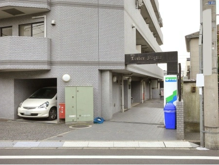 ルーブル野方