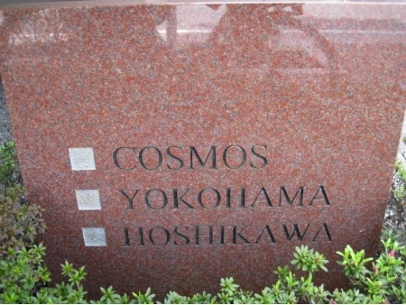コスモ横浜星川