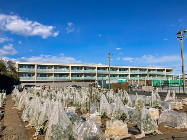 パークホームズ吉祥寺北 ザ ガーデン 