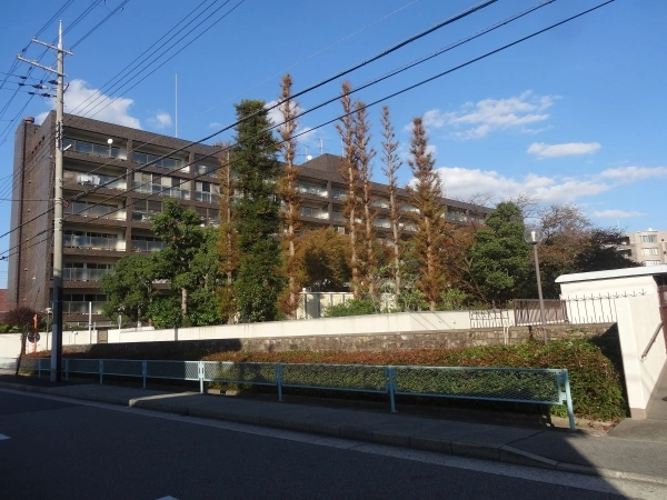 メゾン甲子園