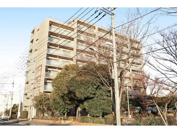 ペルル谷津干潟