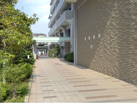 レクセルマンション北綾瀬