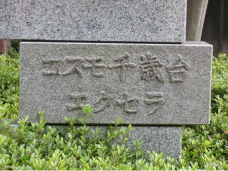 コスモ千歳台エクセラ