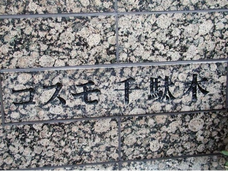 コスモ千駄木