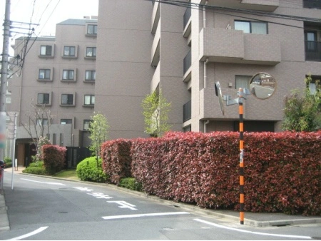 コスモ千鳥町ロイヤルフォルム