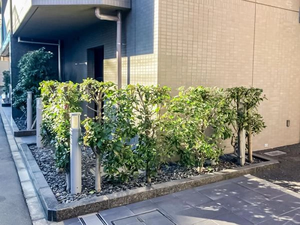 エルデンシア練馬