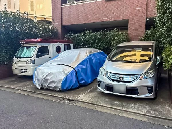 サーラ・コモド都立大学