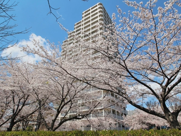 志木ニュータウン中央の森壱番街