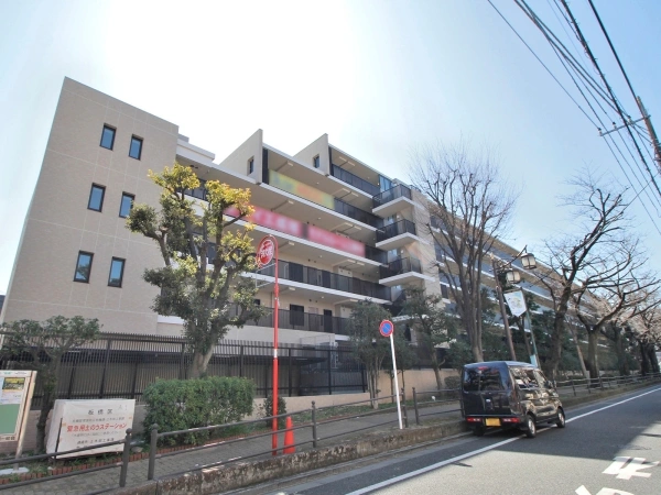 ソライエ成増