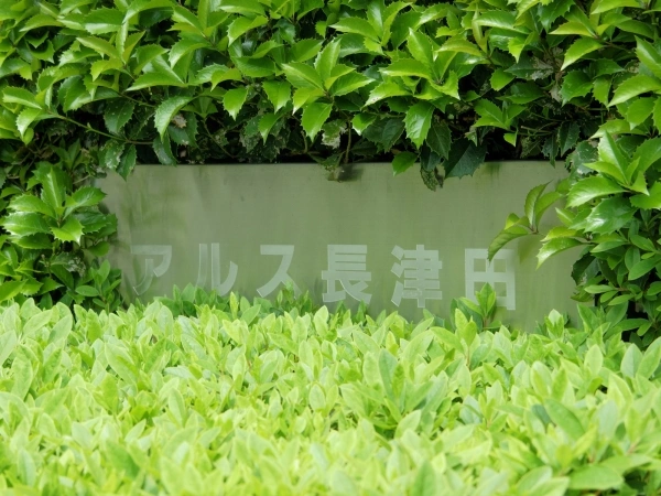 東急ドエルアルス長津田