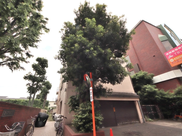 コープ野村深沢