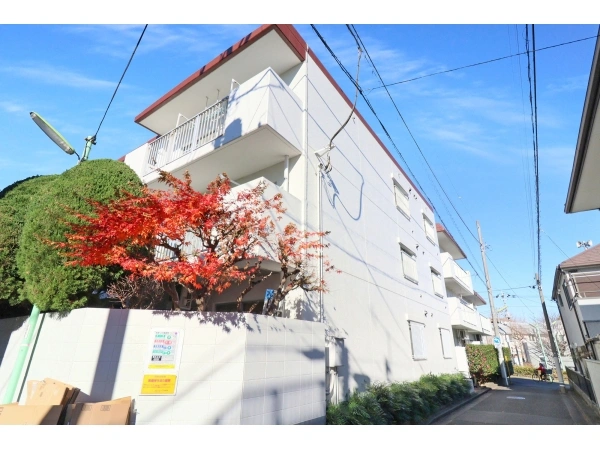 コープ野村東深沢