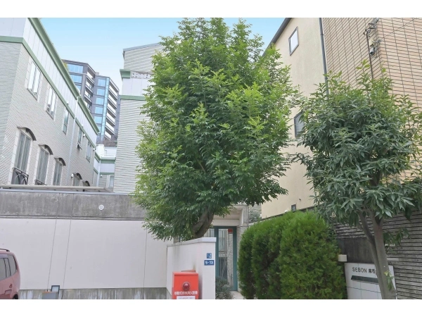 セボン麻布十番