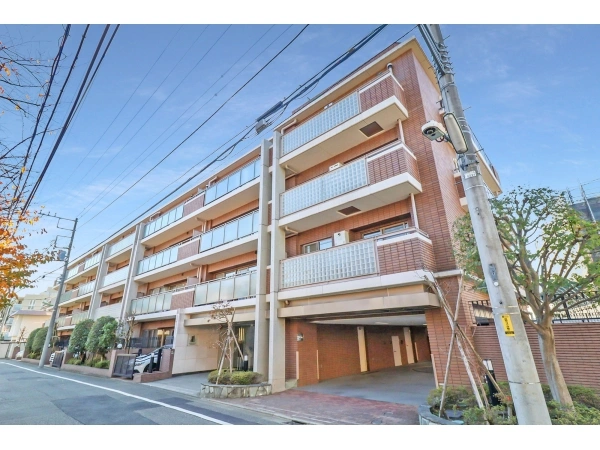 アデニウム二子玉川